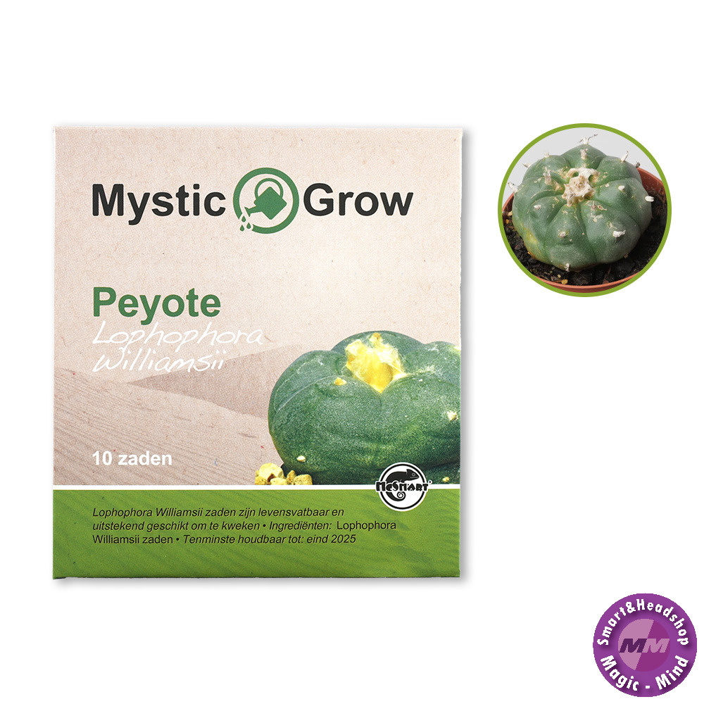 Mystic Peyote (Lophophora Williamsii) seeds-10 piecies
