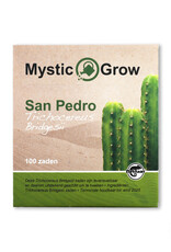 Mystic San Pedro T bridgesii seeds - 100 pieces