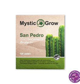 Mystic San Pedro T bridgesii zaden