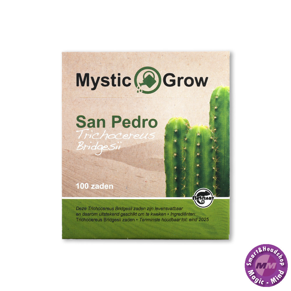 Mystic San Pedro T bridgesii seeds - 100 pieces