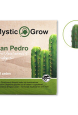 Mystic San Pedro T bridgesii seeds - 100 pieces