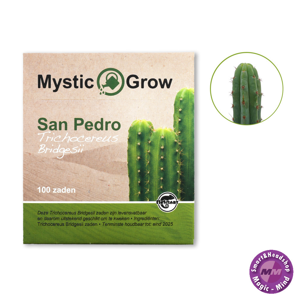 Mystic San Pedro T bridgesii zaden - 100 stuks