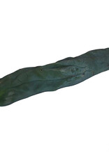 Mc smart Cutting Monstrosus 25 - 29 cm