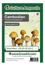 Culture Ampoule Set Cambodian - Culture Ampoule Set