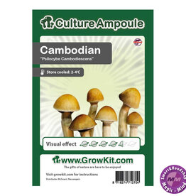 Culture Ampoule Set Cambodian - Culture Ampoule Set