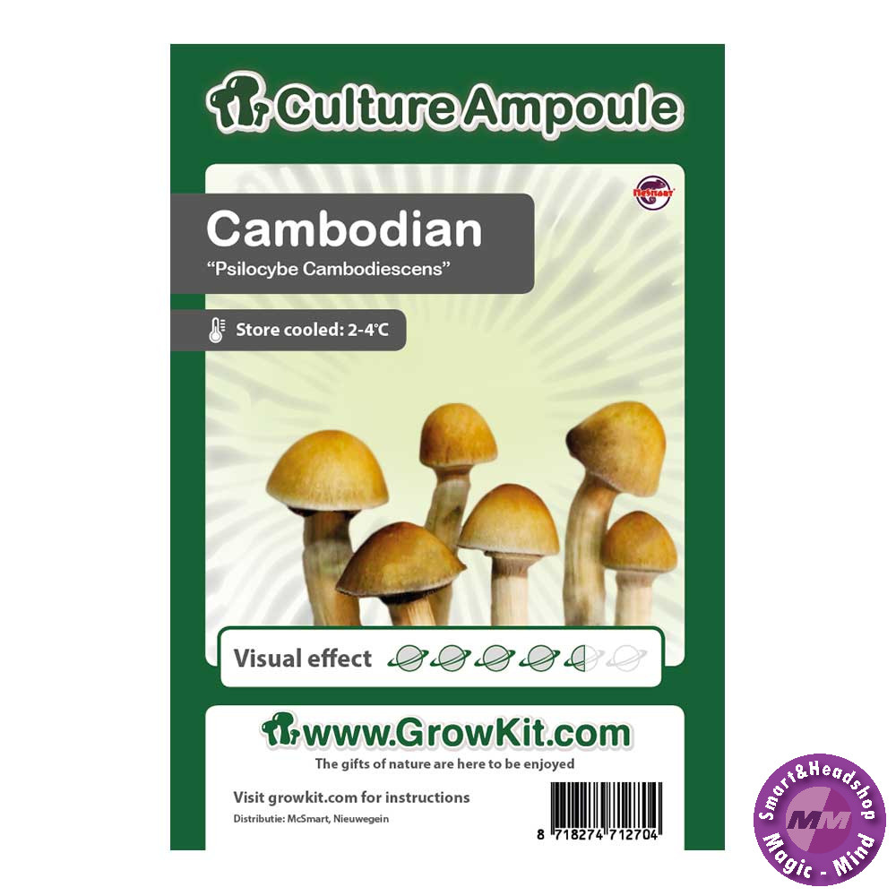 Culture Ampoule Set Cambodian - Culture Ampoule Set