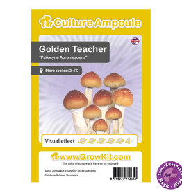 Culture Ampoule Set Golden Teacher - Culture Ampoule Set
