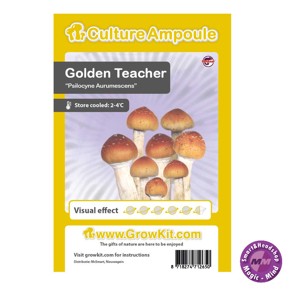 Culture Ampoule Set Golden Teacher - Culture Ampoule Set