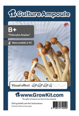 Culture Ampoule Set B Plus - Culture Ampoule Set