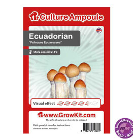 Culture Ampoule Set Ecuadorian - Culture Ampoule Set