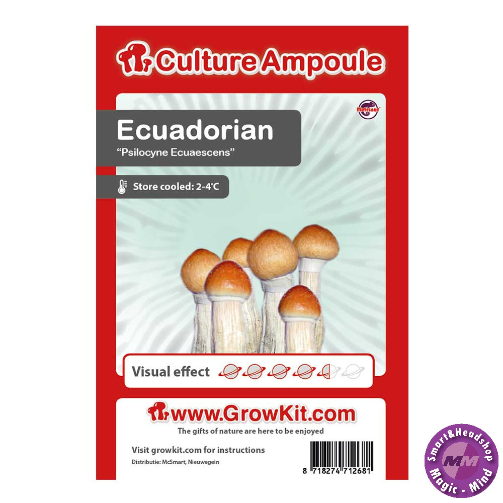 Culture Ampoule Set Ecuadorian - Culture Ampoule Set