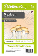 Culture Ampoule Set Mexican - Culture Ampoule Set