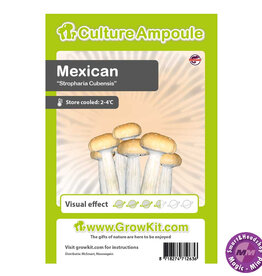Culture Ampoule Set Mexican - Culture Ampoule Set