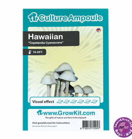 Culture Ampoule Set Hawaiian - Culture Ampoule Set