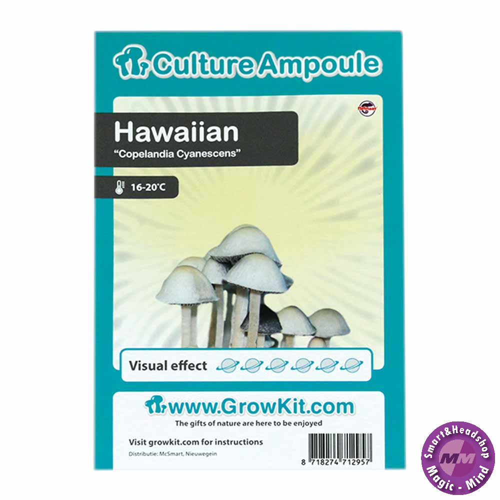 Culture Ampoule Set Hawaiian - Culture Ampoule Set