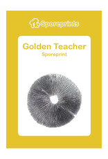 Sporeprints Golden Teacher Sporeprint