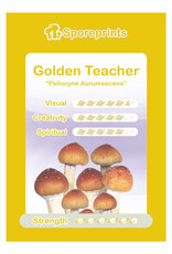 Sporeprints Golden Teacher Sporeprint