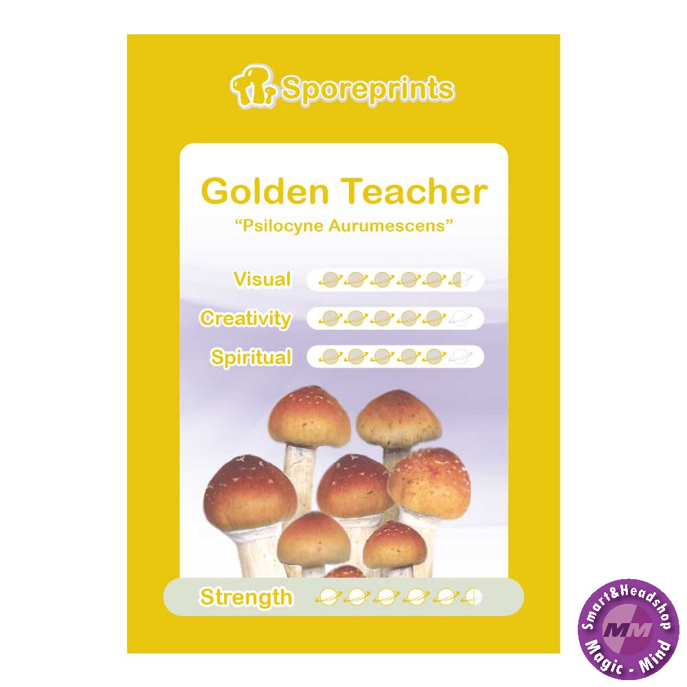 Sporeprints Golden Teacher Sporeprint
