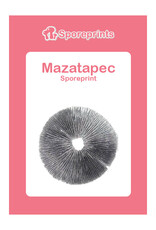 Sporeprints Mazatapec Sporeprint