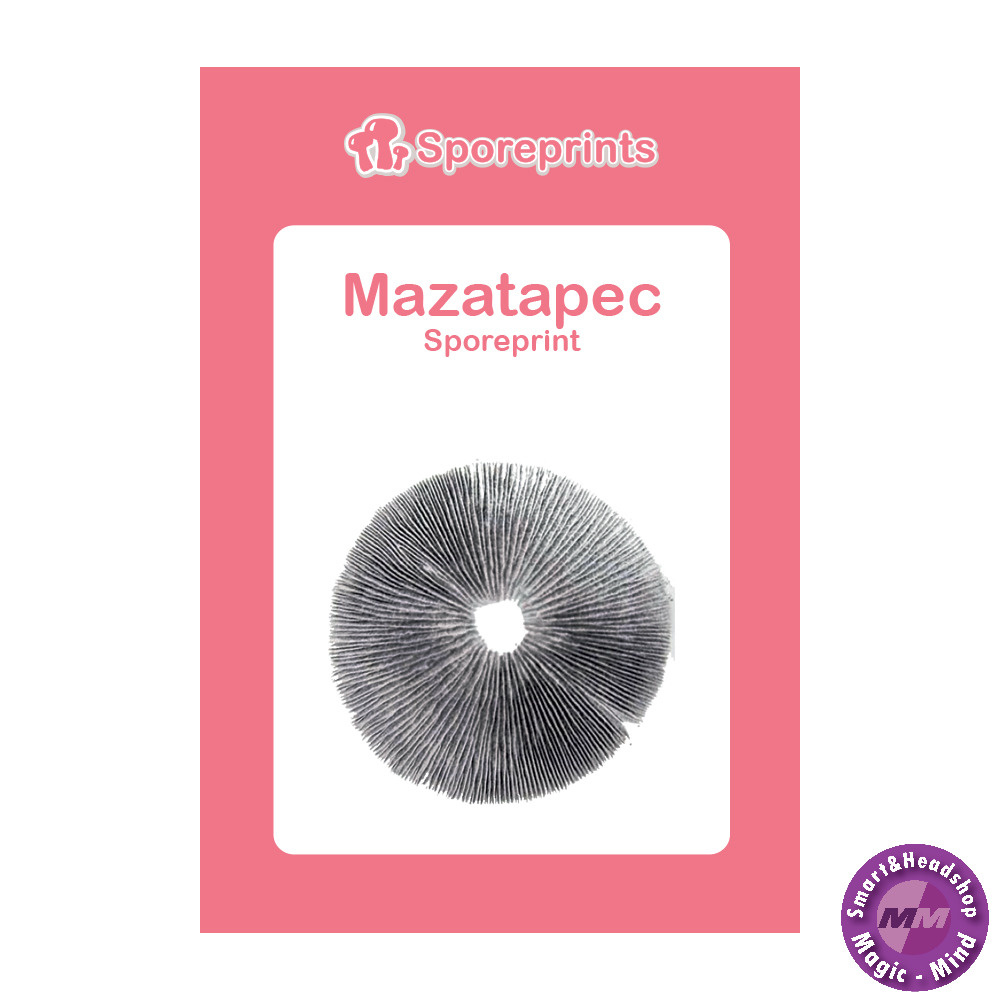 Sporeprints Mazatapec Sporeprint