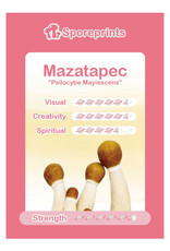 Sporeprints Mazatapec Sporeprint