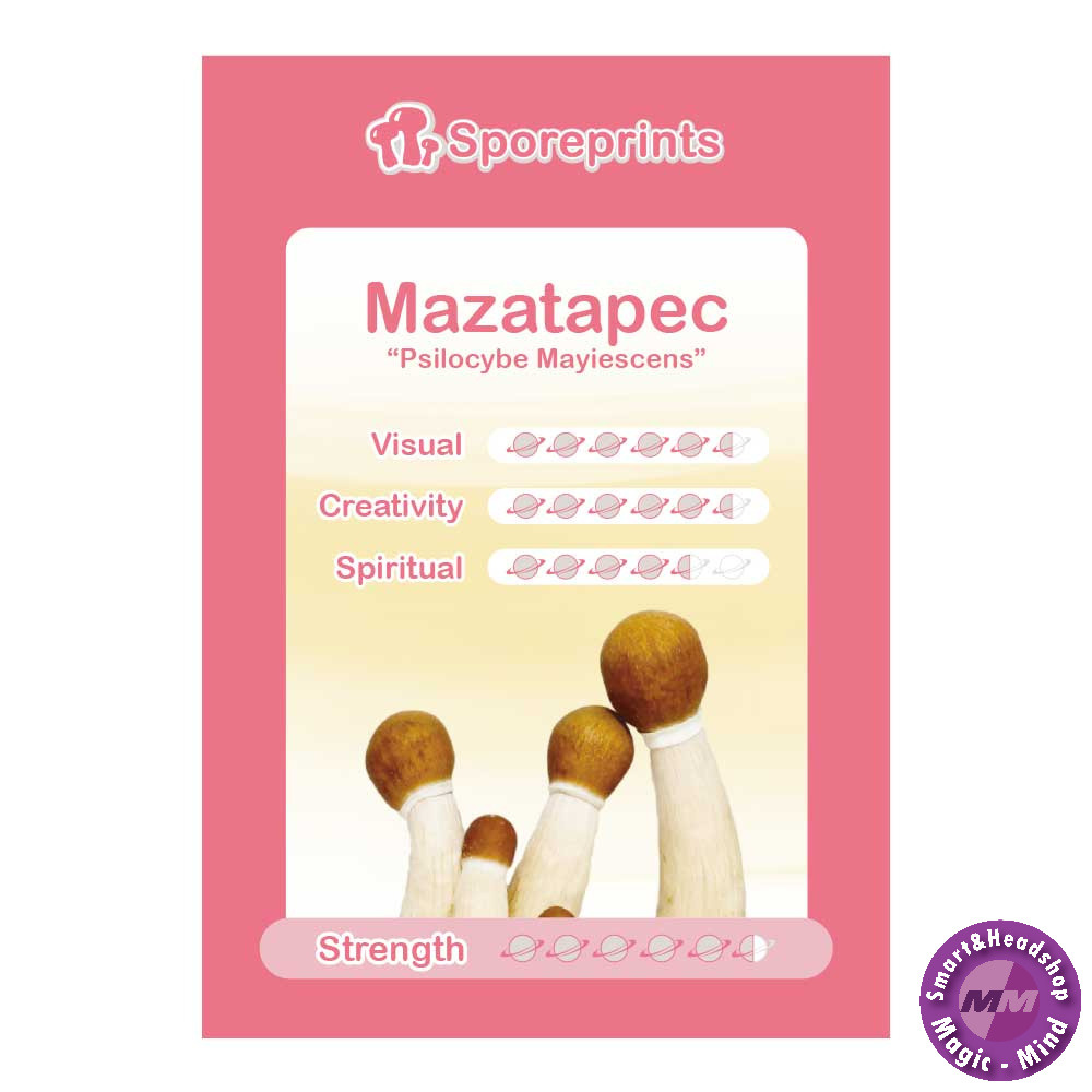 Sporeprints Mazatapec Sporeprint