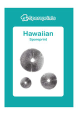 Sporeprints Hawaiian Sporeprint