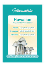 Sporeprints Hawaiian Sporeprint