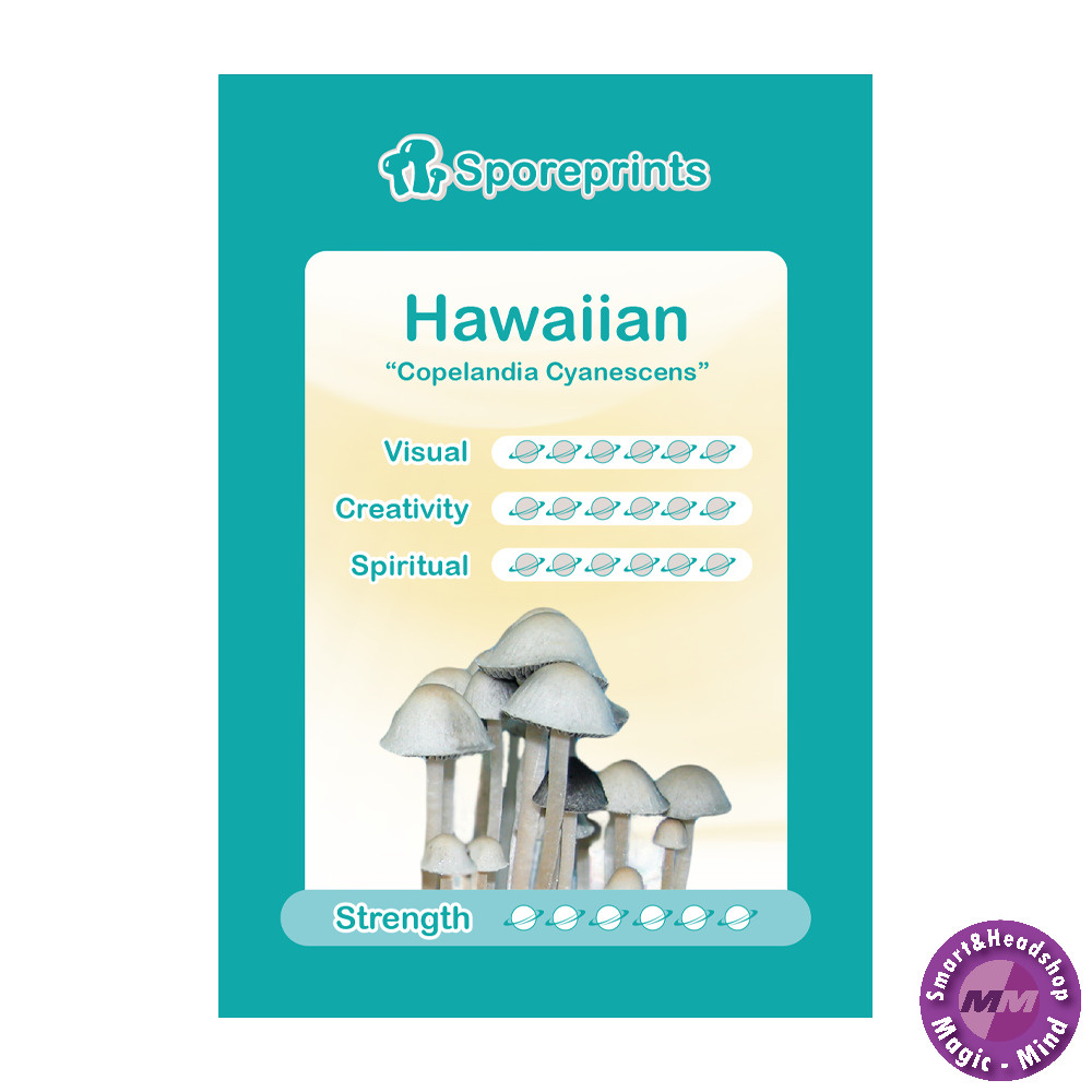 Sporeprints Hawaiian Sporeprint