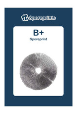 Sporeprints B+ Sporeprint