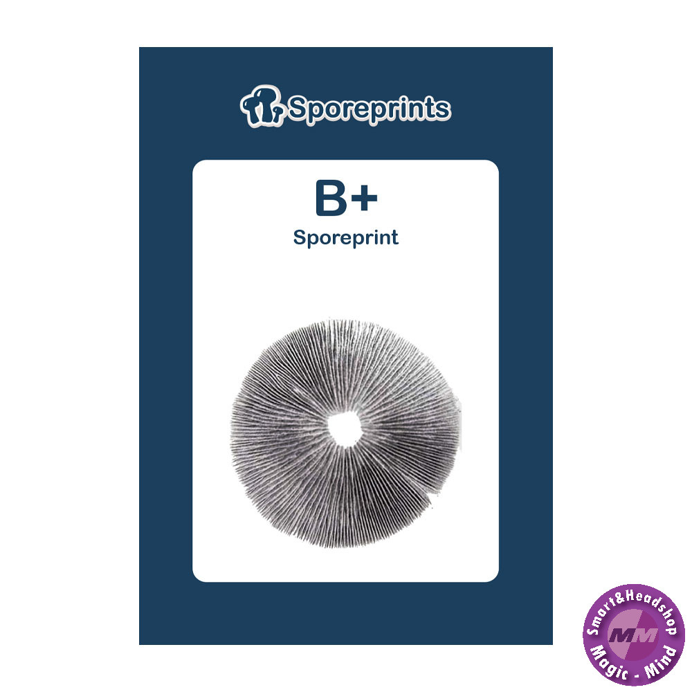 Sporeprints B+ Sporeprint