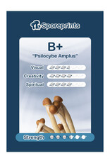 Sporeprints B+ Sporeprint