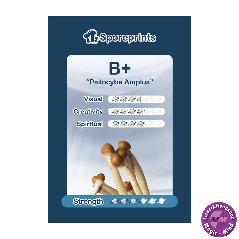 Sporeprints B+ Sporeprint