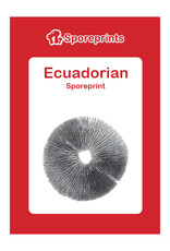 Sporeprints Ecuadorian Sporeprint