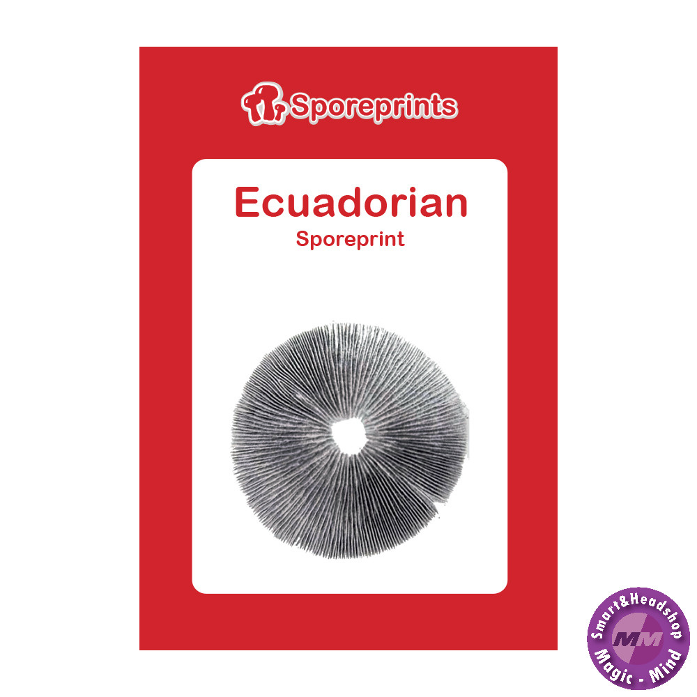 Sporeprints Ecuadorian Sporeprint