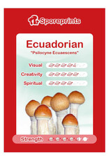 Sporeprints Ecuadorian Sporeprint