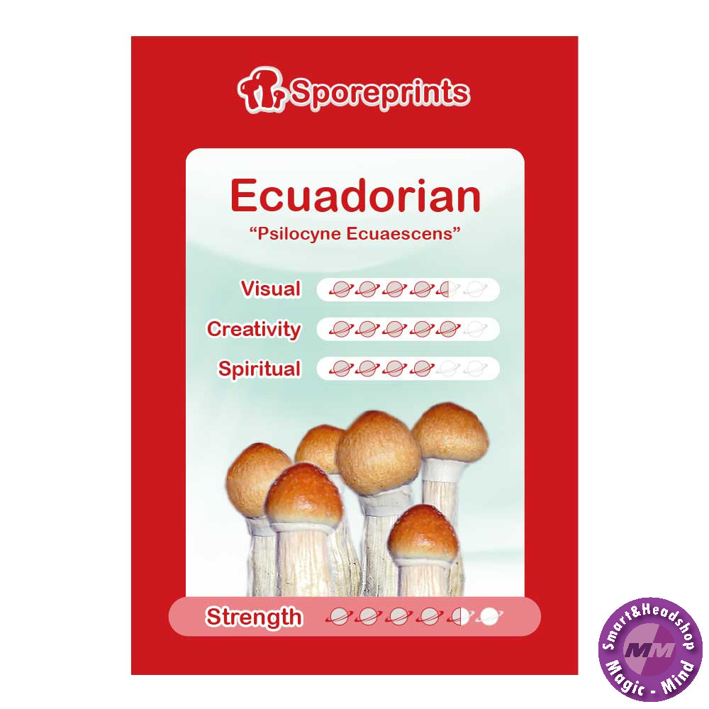 Sporeprints Ecuadorian Sporeprint