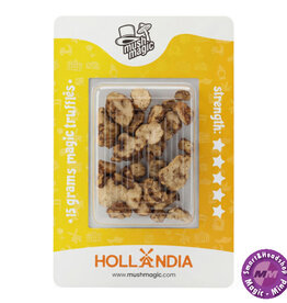Mush magic Hollandia Psilocybe 15 gram