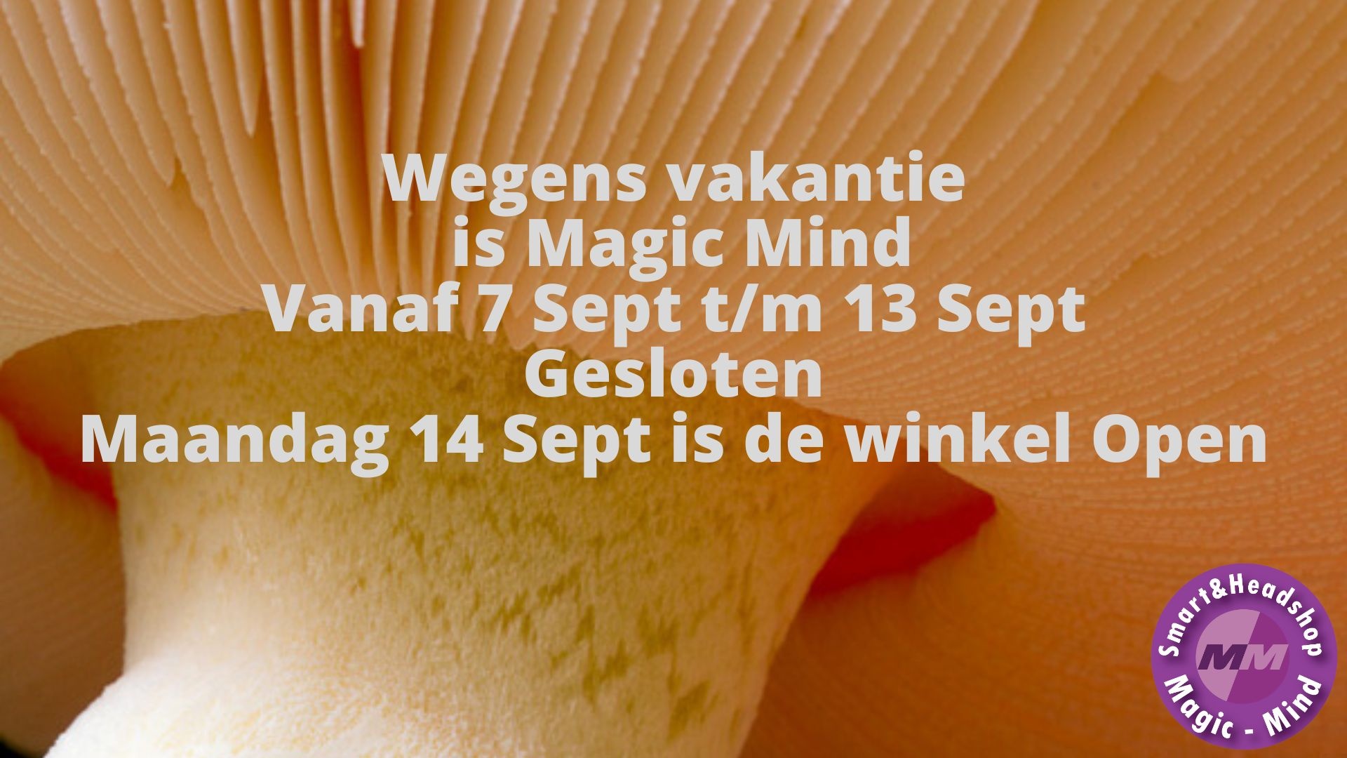 Vakantie