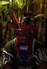 Noke Koi Mocha Vashawa