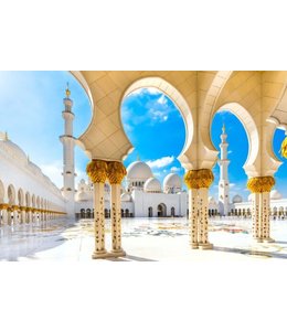 Plexiglass painting Sheikh Zayed Mosque