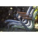 HOUE tuinmeubelen Click tuinstoel | Diverse Kleuren HOUE tuinmeubelen Click tuinstoel | Diverse Kleuren