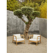 Jardinico Loungeset Flexx Jardinico Loungeset Flexx