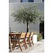 Wolfwood tuinmeubelen Norden tuintafel | 280 x 100 Wolfwood tuinmeubelen Norden tuintafel | 280 x 100
