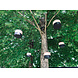 Heatsail Heatsail | Glow | Set van 3 of 5 lampen Heatsail Heatsail | Glow | Set van 3 of 5 lampen