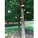Heatsail Heatsail | Glow | Set van 3 of 5 lampen Heatsail Heatsail | Glow | Set van 3 of 5 lampen