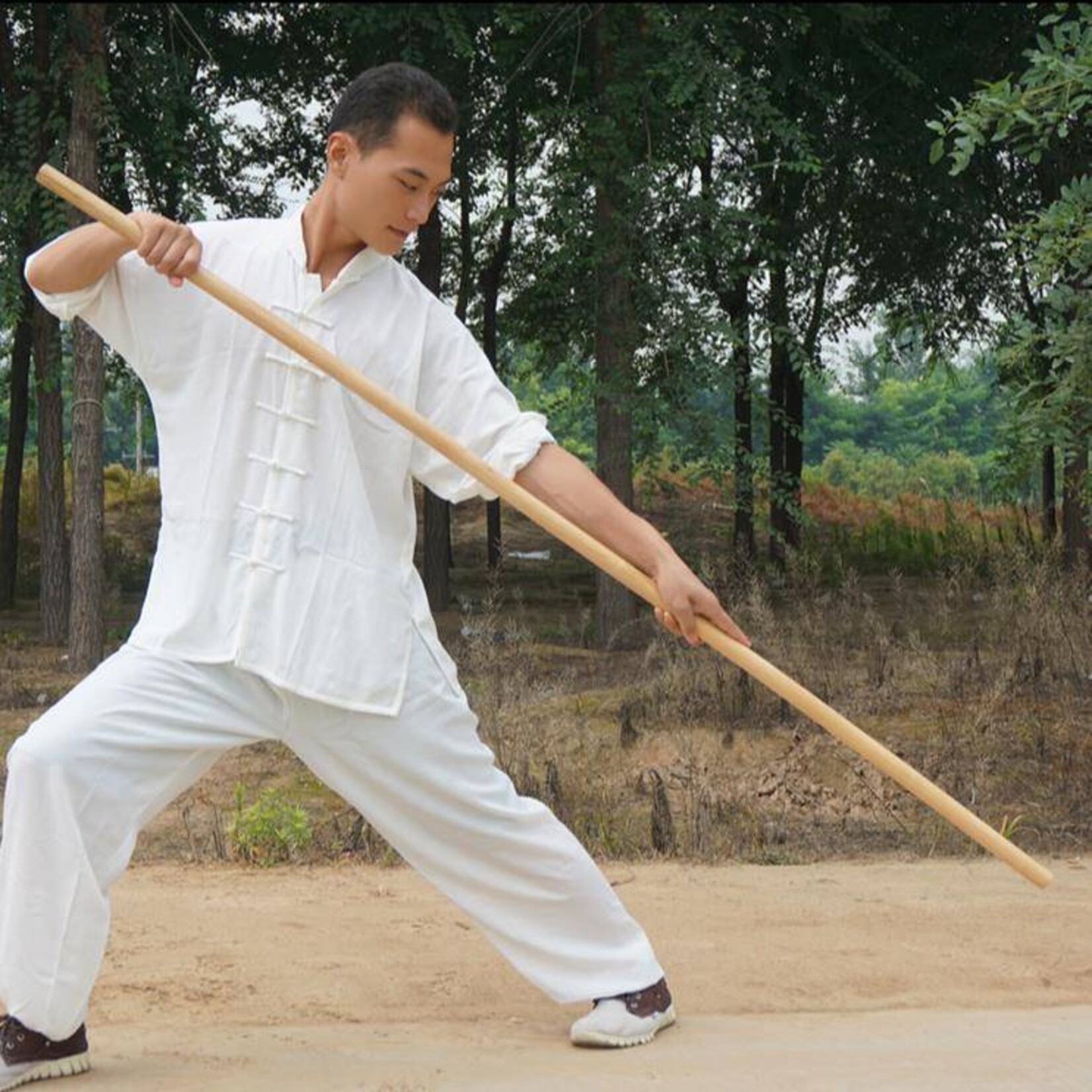 Enso Martial Arts Shop Rattan Bo Staff without Skin