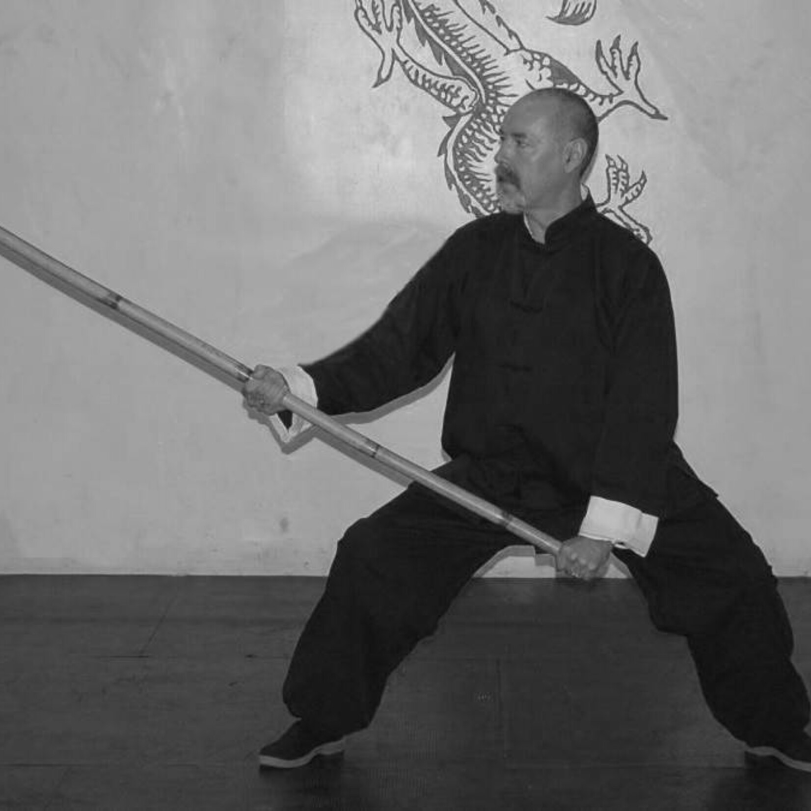 Enso Martial Arts Shop Rattan Bo Staff without Skin
