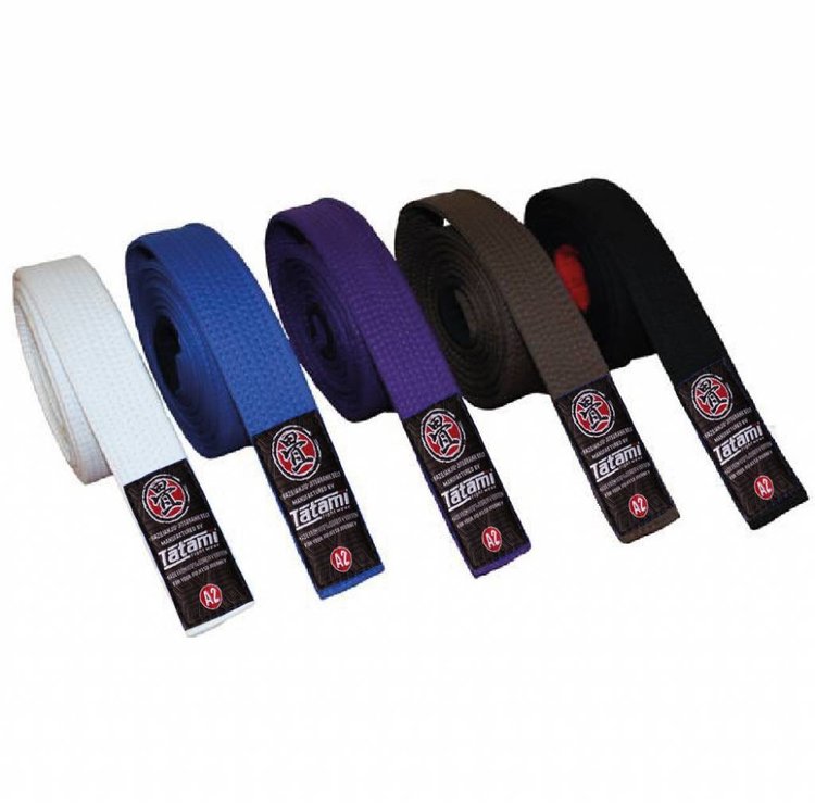 Brazilian Jiu Jitsu BJJ Belt in White, Blue, Purple, Brown & Black ...