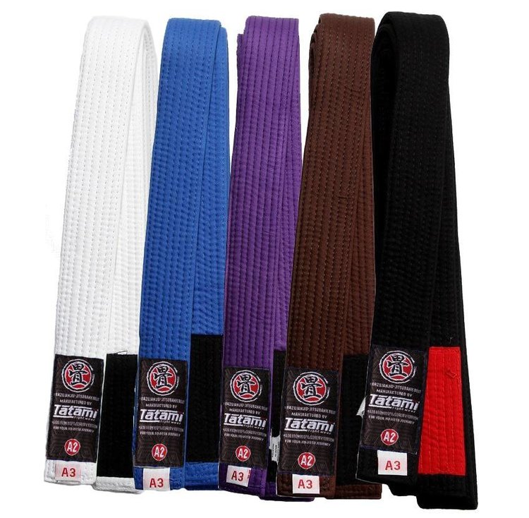 Brazilian Jiu Jitsu BJJ Belt in White, Blue, Purple, Brown & Black ...